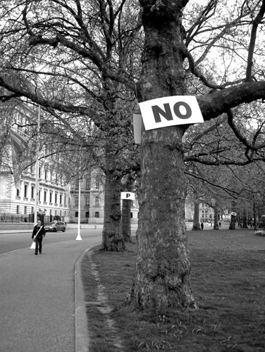 No Trees (2006)